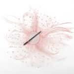 DRESHOW Fascinator Hat with Mesh, Ribbons, & Feathers