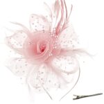 DRESHOW Fascinator Hat with Mesh, Ribbons, & Feathers
