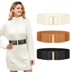 WERFORU Women's Elastic Vintage Stretchy Belt for Dresses