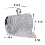 BDXMKS Women Tassel Evening Bag Diamond Beads Clutch