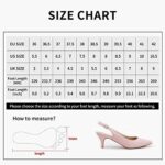 Greatonu Pointed Toe Slingback Kitten Heel Sandals