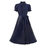 Wellwits Women's Polka Dots Pleated Midi Dress
