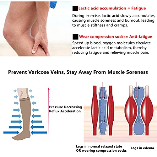 Compression Socks 20-25mmHg, 2-6 Pairs, Knee High