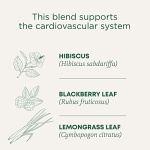 Organic Hibiscus Herbal Tea, 16 Bags (Pack of 1)