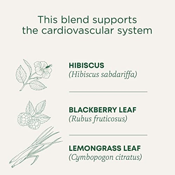 Organic Hibiscus Herbal Tea, 16 Bags (Pack of 1)