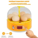 Automatic Egg Incubator with Turner & Humidity Control