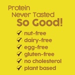 No Nuts! Lemon Créme Vegan Protein Bars, Organic, Kosher
