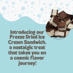 G-BOX Freeze Dried Vanilla Ice Cream Sandwiches (85g)