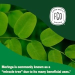 FGO Organic Moringa Tea, Eco Bags, 100 Count