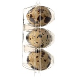 THE FARMSTAND Quail Eggs, 12 Count