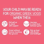 Happy Baby Greek Yogis, Strawberry & Banana, 28g