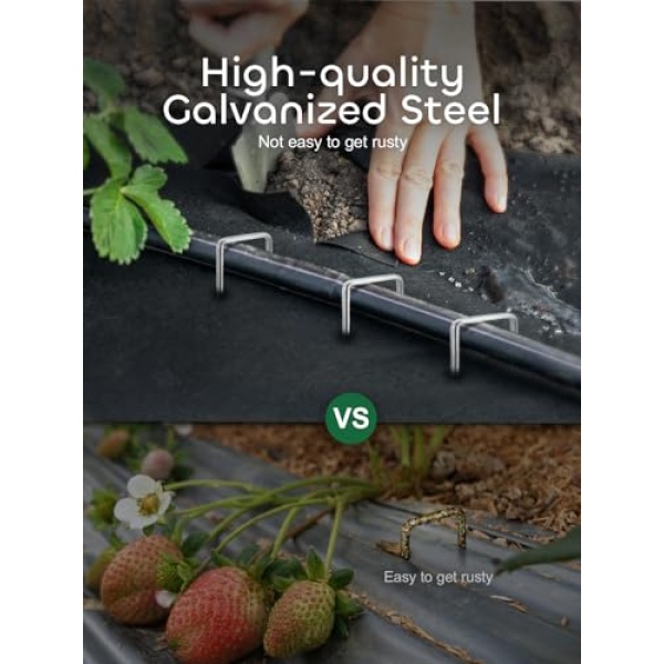 GROWNEER 50-Pack 30cm Heavy Duty 11 Gauge Garden Stakes