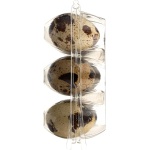 THE FARMSTAND Quail Eggs, 12 Count