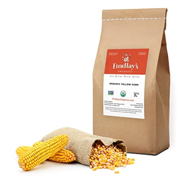 Yellow Corn, Organic, Non-GMO, Vegan, 11.34 kg // Findlay's