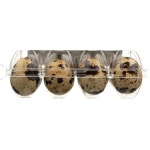 THE FARMSTAND Quail Eggs, 12 Count