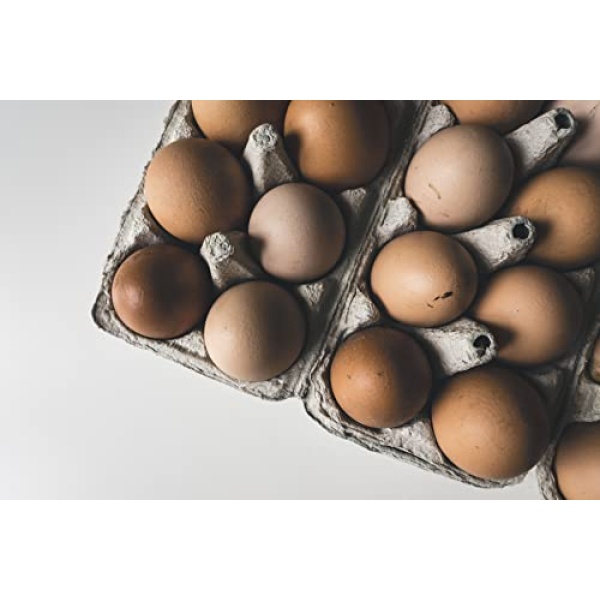 Grass Fed Non-GMO Free Range Chicken Eggs - 24 Count