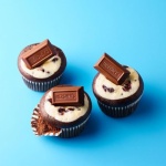 HERSHEY'S Miniatures Assorted Chocolate, 1.02 kg