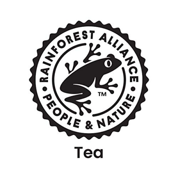 Pure Leaf Unsweetened Iced Tea, 550 ml (Pack of 12)