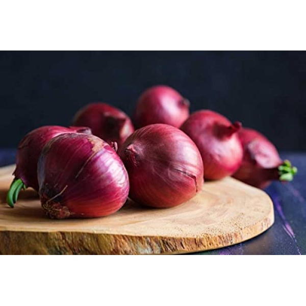 Generic Red Onions, Fresh, USA, Non-GMO, Bulk (454g)
