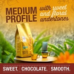 Mayorga Medium Roast Whole Bean Coffee, 2.27 kg Bag