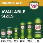 Canada Dry Ginger Ale, 355 ml cans (Pack of 12)