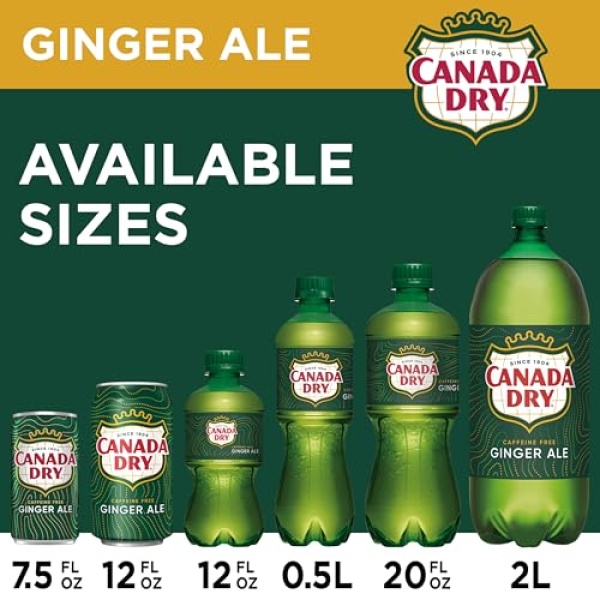 Canada Dry Ginger Ale, 355 ml cans (Pack of 12)