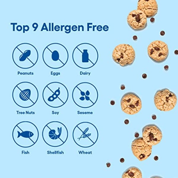 Gluten Free Crunchy Vegan Snack Packs by Partake | 48Ct