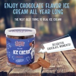 Super Garden Freeze Dried Chocolate Ice Cream (40g)