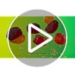 Black Forest Juicy Burst Fruit Snacks, Mixed Fruit, 22.7g (40 Count)