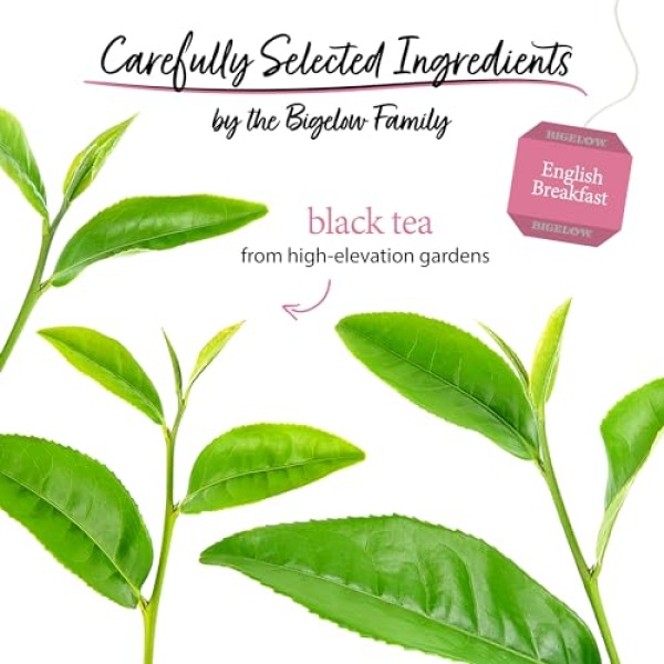 Bigelow English Breakfast Black Tea, 120 Bags (Pack of 6)