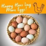 Happy Trees Chicken Nesting Herbs - 100% Natural Blend, 450g