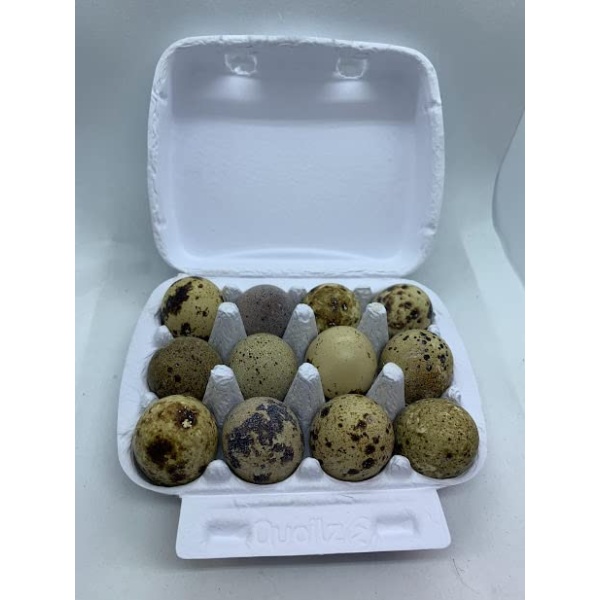 Fresh Quail Eggs (24)