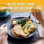 Judeeās Dried Whole Egg Powder - 312g - Gluten-Free