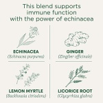 Organic Immune Zoom Lemon Ginger Tea, 16 Bags