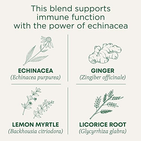 Organic Immune Zoom Lemon Ginger Tea, 16 Bags