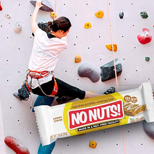 No Nuts! Lemon Créme Vegan Protein Bars, Organic, Kosher