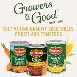 Del Monte Zesty Chili Diced Tomatoes, 411g