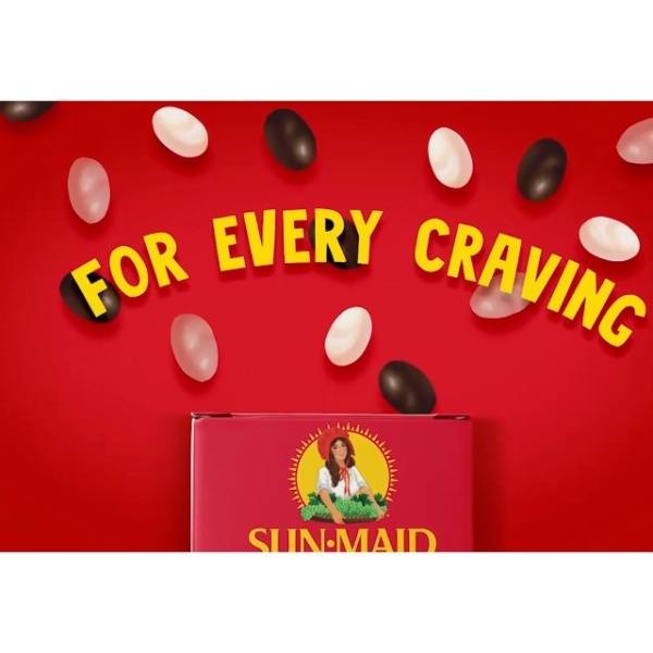 Sun-Maid Vanilla Yogurt Raisins - 6 Pack (28g each)
