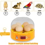 Automatic Egg Incubator with Turner & Humidity Control
