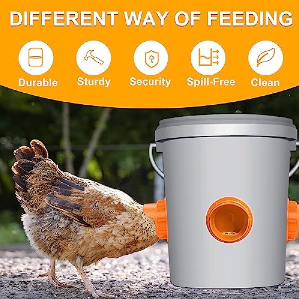 DIY No Waste Chicken Feeder Kit, 6 Ports, Orange