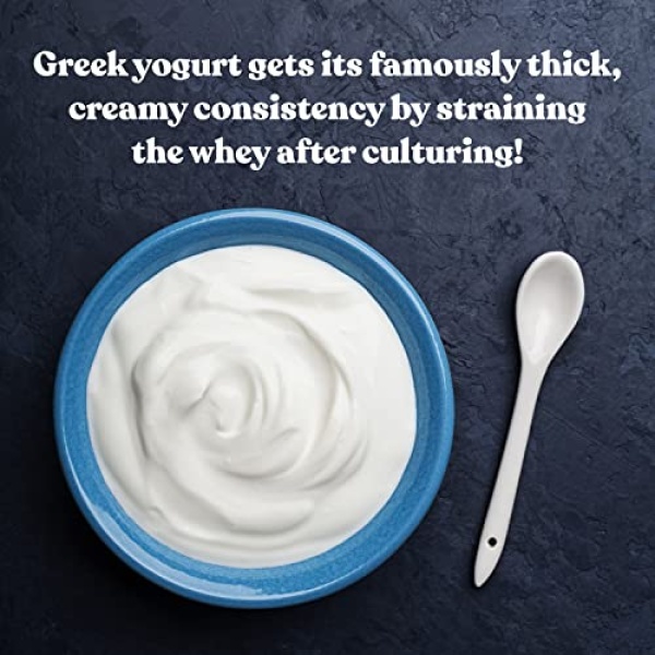 Cultures for Health Greek Yogurt Starter | 2 Packets