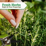 VegTrug 8 Pocket Herb Planter with Snips, Natural