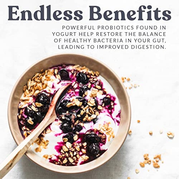 Cultures for Health Greek Yogurt Starter | 2 Packets