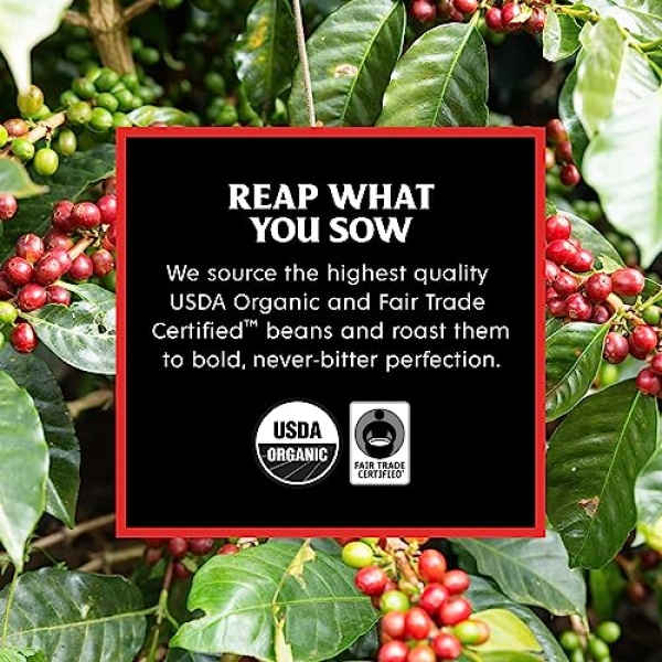 Death Wish Organic Medium Roast Whole Bean Coffee, 454g