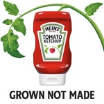Heinz Tomato Ketchup (397g Bottle)