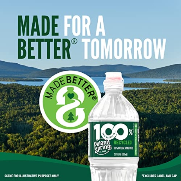 Poland Spring Natural Spring Water, 500 ml Bottles (24 Pack)