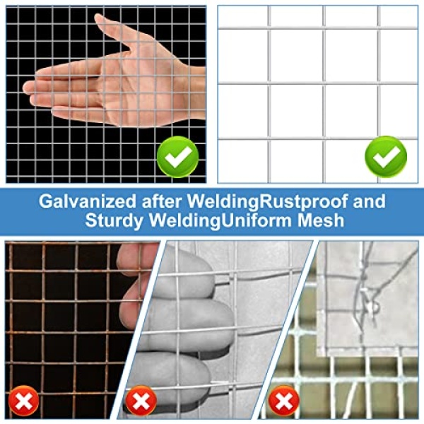 Land Guard 19 Gauge 1.27 cm Chicken Wire Mesh Roll