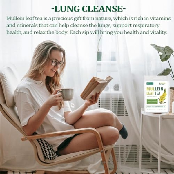 Mullein Leaf Tea, Lung Cleanse, 40 Bags, 3g Each