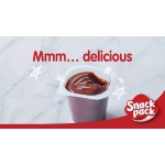 Snack Pack Choc & Vanilla Pudding Cups, 12 Count