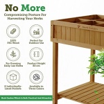 VegTrug 8 Pocket Herb Planter with Snips, Natural
